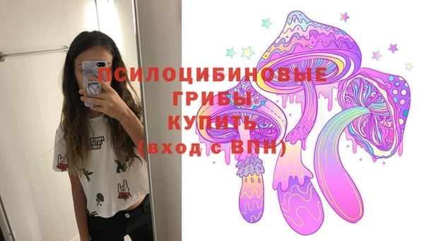 СК Воткинск