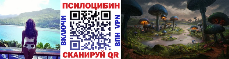 сколько стоит  Заволжье  Галлюциногенные грибы Psilocybine cubensis 